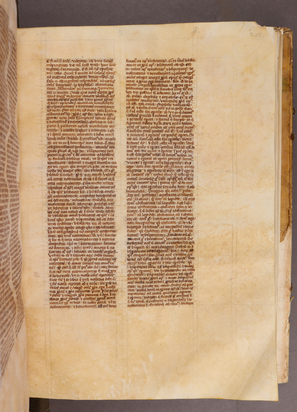 Folio 202 recto